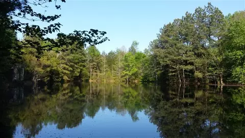 3093 Thollie Green Rd E, Stem, NC 27581 photo 1