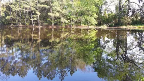 3093 Thollie Green Rd E, Stem, NC 27581 photo 9