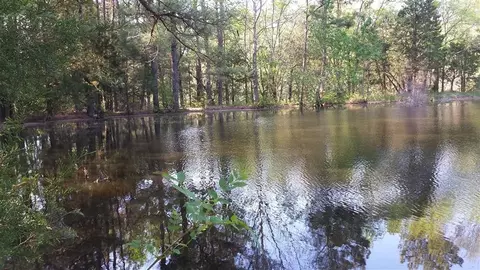 3093 Thollie Green Rd E, Stem, NC 27581 photo 8