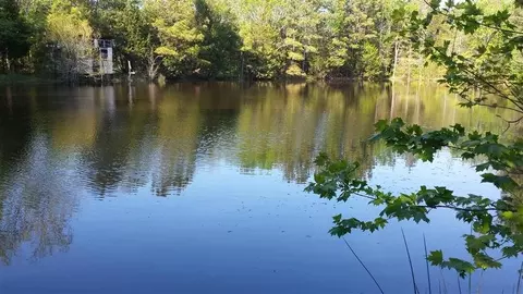 3093 Thollie Green Rd E, Stem, NC 27581 photo 7