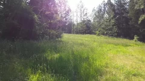 3093 Thollie Green Rd E, Stem, NC 27581 photo 10