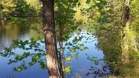 3093 Thollie Green Rd E, Stem, NC 27581 photo 4