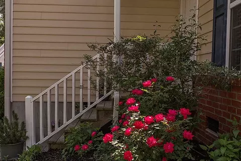 7 Byerly Ct, Durham, NC 27713 photo 3