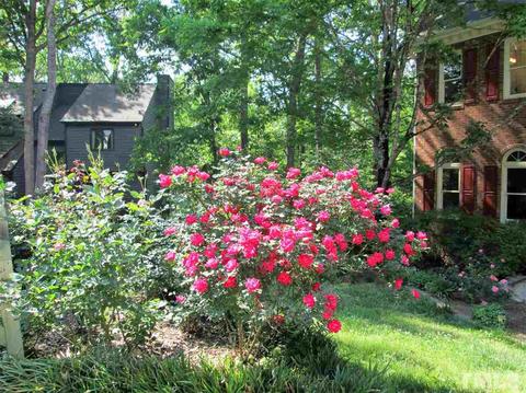 7 Pointe View Ct, Durham, NC 27713 photo 19