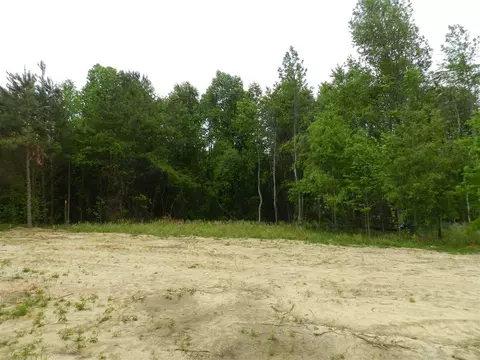 224 Saylor Ridge Ln, Willow Spring, NC 27592 photo 21