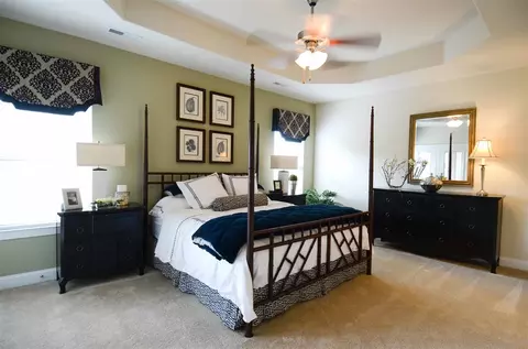 227 Deep Clay Cir, Angier, NC 27501 photo 11