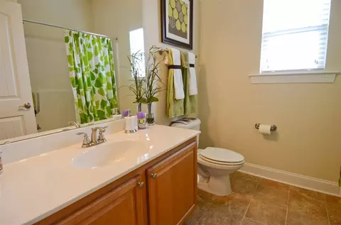 227 Deep Clay Cir, Angier, NC 27501 photo 2