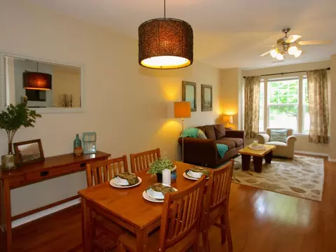 113 Cedar Elm Rd, Durham, NC 27713 photo 5
