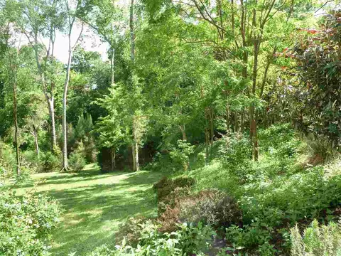 101 Wright Hill Dr, Durham, NC 27712 photo 21