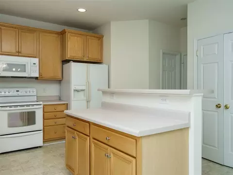1450 Big Leaf Loop, Apex, NC 27502 photo 8