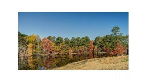 2210 Newleaf Dr, Apex, NC 27539 photo 3