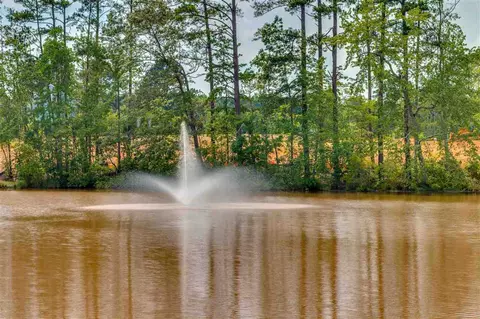 2380 Redbud Tree Dr, Apex, NC 27539 photo 19