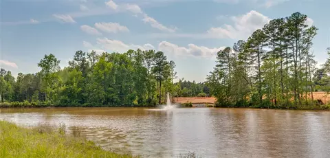2380 Redbud Tree Dr, Apex, NC 27539 photo 18