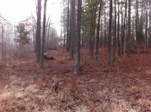 2304 Coley Rd, Durham, NC 27703 photo 4