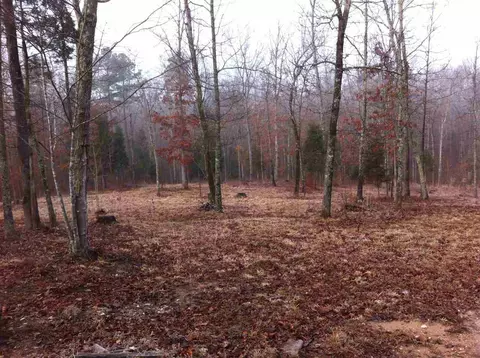 2304 Coley Rd, Durham, NC 27703 photo 3