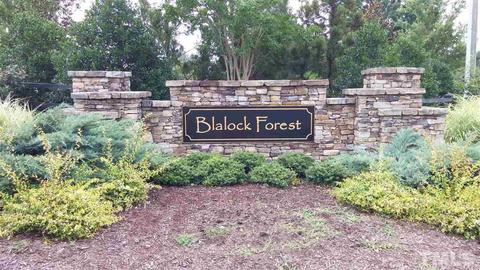 6616 Darlinghurst Ln, Willow Spring, NC 27592 photo 16