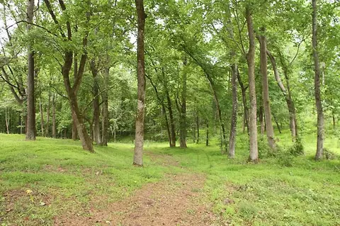 830 Loop Rd, Clayton, NC 27527 photo 8