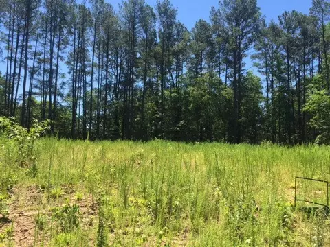 1301 Pineview Dr, Garner, NC 27529 photo 1