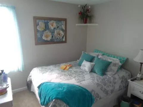 3006 Red Cir, Willow Spring, NC 27592 photo 10