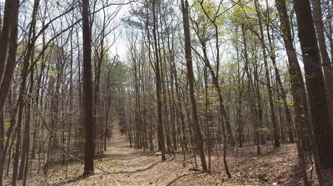 5501 Novaglen Rd, Durham, NC 27712 photo 1
