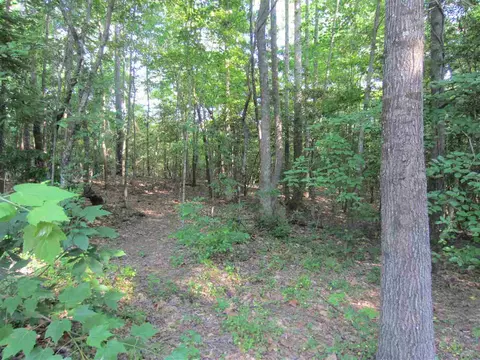 130 Sylvan Way, Zebulon, NC 27597 photo 24