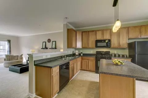 132 Brittingham Loop, Apex, NC 27502 photo 11
