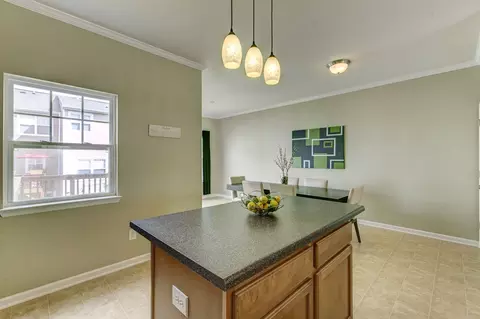 132 Brittingham Loop, Apex, NC 27502 photo 14