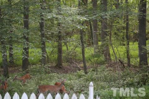 113 Stefi Ct, Garner, NC 27529 photo 23