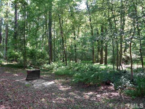 113 Stefi Ct, Garner, NC 27529 photo 24