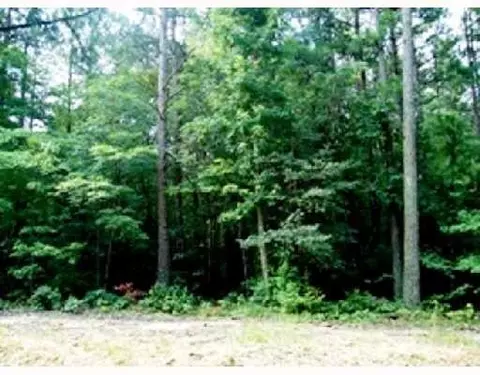 1533 Bent Rd, Wake Forest, NC 27587 photo 1