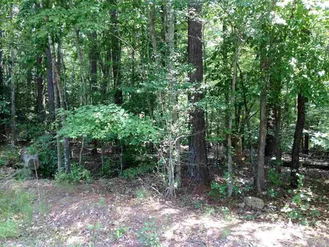 1533 Bent Rd, Wake Forest, NC 27587 photo 3