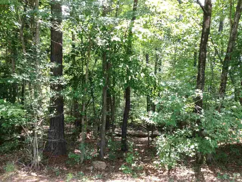 1533 Bent Rd, Wake Forest, NC 27587 photo 2