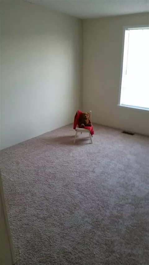 1990 Elevation Rd, Four Oaks, NC 27524 photo 16