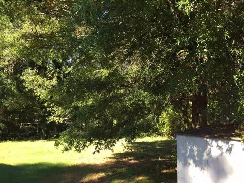 607 Mimosa St, Durham, NC 27703 photo 5