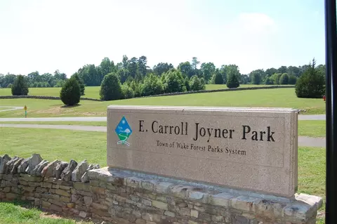 335 Barnhill Ln, Wake Forest, NC 27587 photo 24