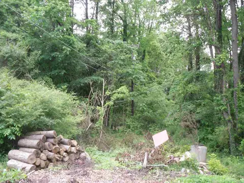 400 Cecil St, Durham, NC 27707 photo 2