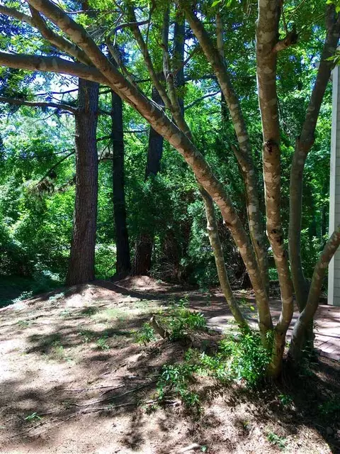 110 Rhum Pl, Garner, NC 27529 photo 3