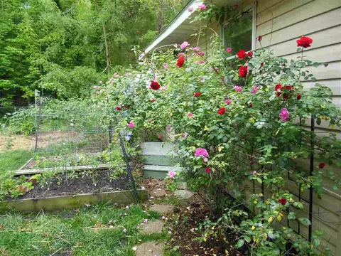 4604 Blanchard Rd, Durham, NC 27713 photo 22