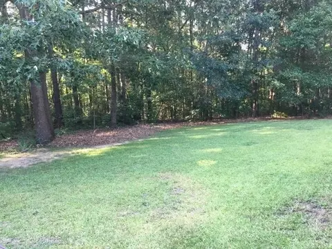 231 Tower Dr, Angier, NC 27501 photo 18