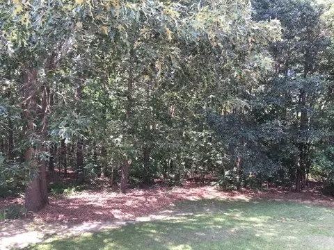 231 Tower Dr, Angier, NC 27501 photo 21