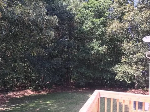 231 Tower Dr, Angier, NC 27501 photo 19