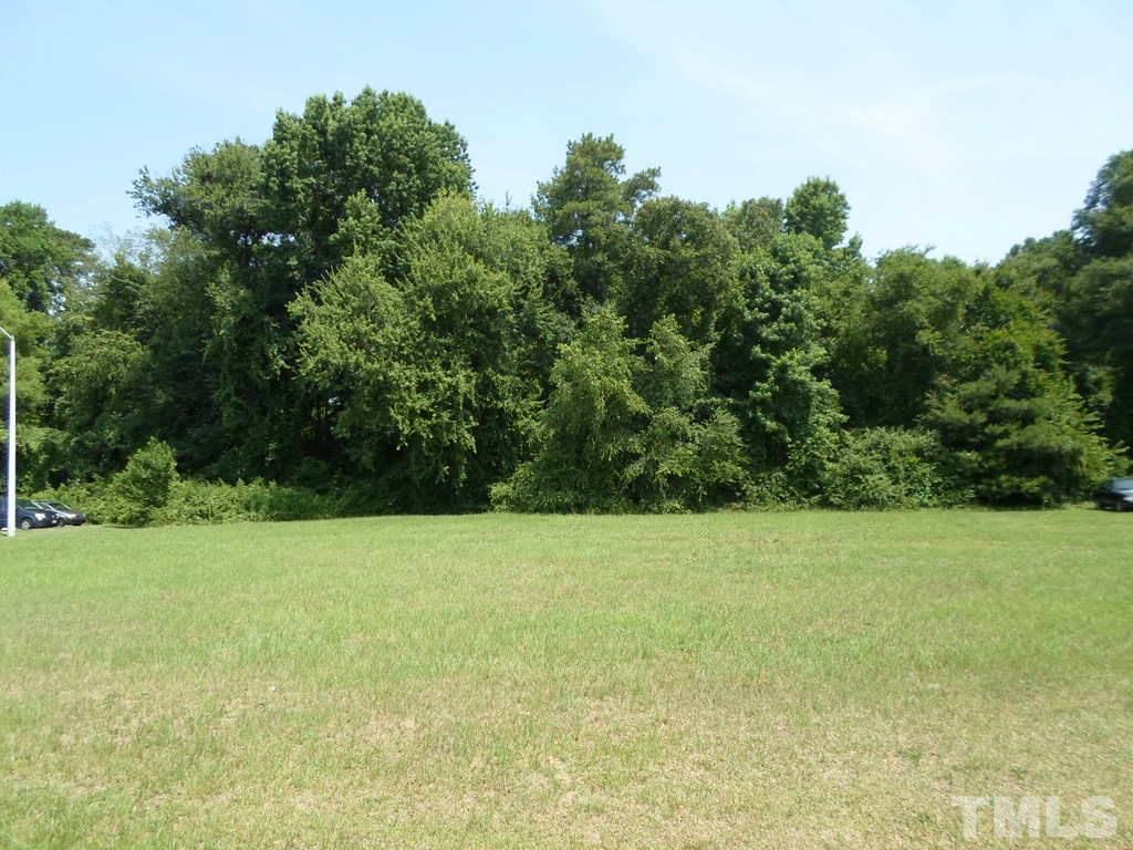 173 Fish Dr, Angier, NC 27501 photo 1