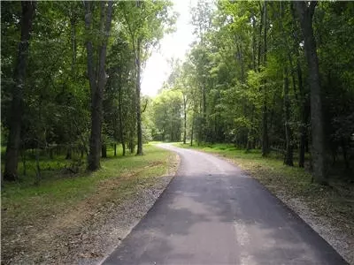 1437 Big Leaf Loop, Apex, NC 27502 photo 24