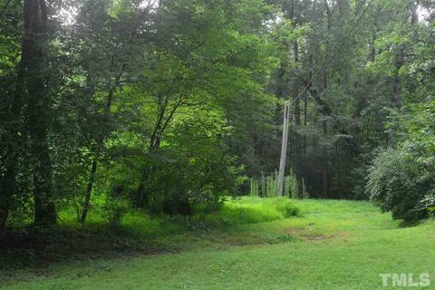 438 Tyler Run Dr, Wake Forest, NC 27587 photo 16