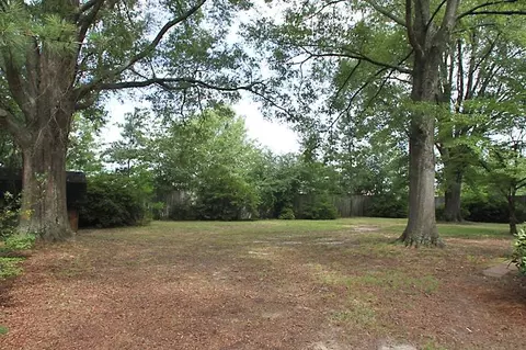 313 Loop Rd, Garner, NC 27529 photo 11
