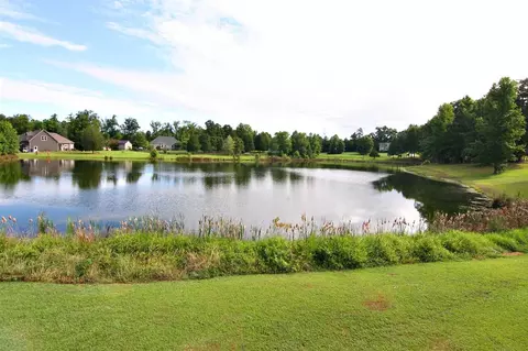 1091 Roberts Chapel Rd, Stem, NC 27581 photo 2