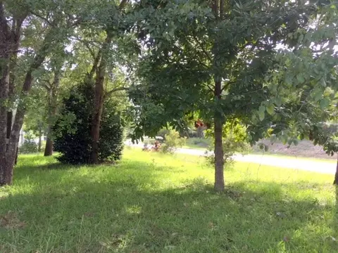 601 Bishop Ct, Hampstead, NC 28443 photo 5