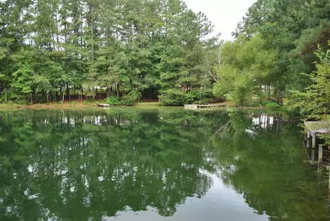 1008 Oakwater Dr, Garner, NC 27529 photo 3