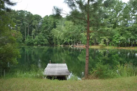 1008 Oakwater Dr, Garner, NC 27529 photo 2