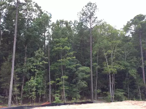 118 Lofty Heights Dr, Durham, NC 27713 photo 4